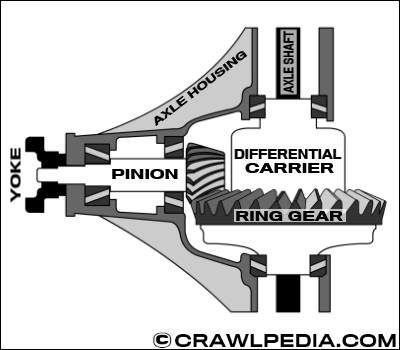 A diagram of an axle cutaway showing the Ring and Pinion gears and Differential